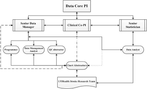 Organizational Chart For Uthealth Stoke Data Core