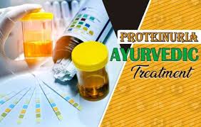 Proteinuria Ayurvedic Treatment And Diet Plan
