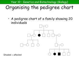 Ppt Pedigree Charts Powerpoint Presentation Free Download