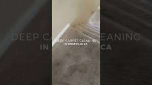 cleaning dirty stained carpet in