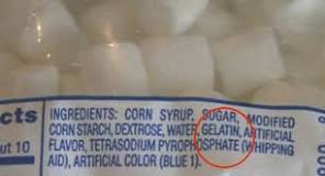 Why is gelatin not vegan?