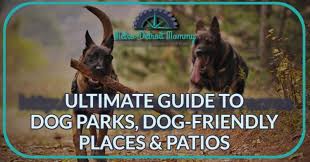 metro detroit dogs ultimate new guide