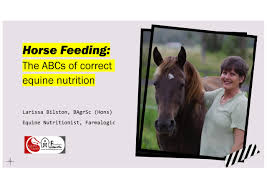 horse nutrition explained the abc and