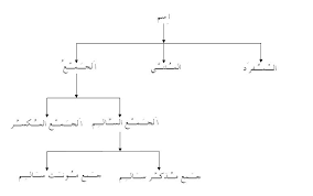 Nahw Singular Dual And Plural Nouns In Arabic Internals
