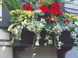 Wooden flower boxes, 2 pack set, 17 and 16 inch window planters for indoor, outdoor, deck or garden. How To Hang A Window Box This Old House