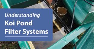 Understanding Koi Pond Filter System
