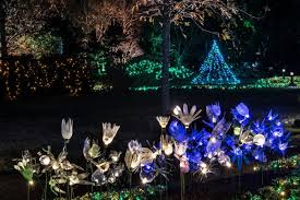 botanical gardens garden of lights