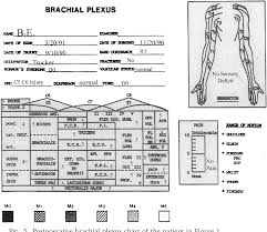Figure 5 From The Surgical Treatment Of Brachial Plexus