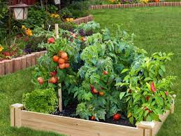 How To Build A Raised Garden Bed The
