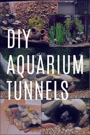 We did not find results for: 30 Brilliantly Creative Diy Aquariums