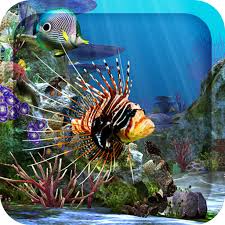 Aquarium live wallpaper is an animated wallpaper for android phones that puts a relaxing aquarium as your device's background.watching fish swim is very. 3d Aquarium Live Wallpaper Hd Apps On Google Play