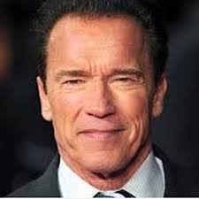 Arnold Schwarzenegger Birth Chart Astrolinked