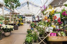In is near buckingham palace. London S 5 Most Stylish Garden Centres With Cafes Foxtons Blog News