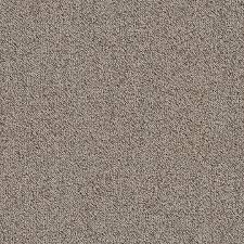 shaw belong carpet tile greige 24 x 24