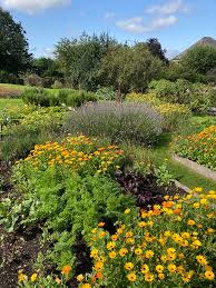 The English Potager Garden The