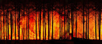 RÃ©sultat de recherche d'images pour "incendies en amazonie"
