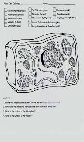 Download this coloring pages for free only on bubakids.com. Plant Cell Coloring On Animal Cells Worksheet Membrane Operations Algebraic Expressions Plant Cell Coloring Worksheet Key Worksheet 1 Mathematics Fractions And Decimals Grade 7 Worksheets Middle School Algebra Problem Solving Year 2