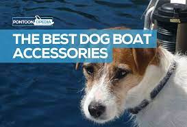 13 Dog Boat Accessories Best Dog Stuff