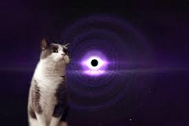 宇宙と猫が謎コラボ！宇宙猫（スペースキャット）とは？