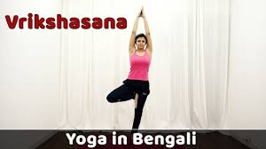 vrikshasana in bengali yoga for