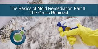 mold reation basics part ii