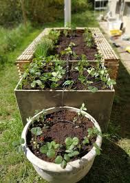 garden soil for planting