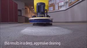 cimex carpet machines mark s vacuum