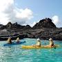 Galapagos Islands things to do from www.visitgalapagos.travel