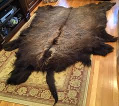 bison american buffalo hide rug throw 8