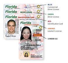 Check spelling or type a new query. Florida S New Driver License And Id Card Florida Department Of Highway Safety And Motor Vehicles