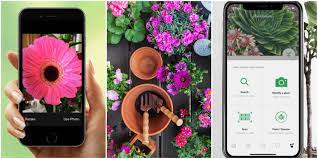 best gardening apps plant identifiers