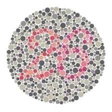 Color Blind Test Test Color Vision By Ishihara Test For