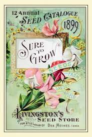 Seed Catalogue Vintage Flowers Free