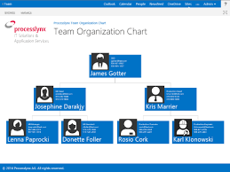Processlynx Team Organization Chart Foundation
