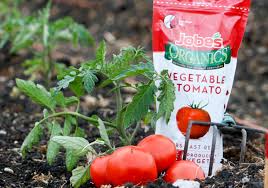 12 amazing tomato fertilizer organic