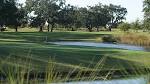 North Shore Golf Club | Golf Course in Orlando, FL