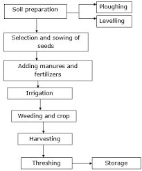 Make A Flow Chart Showing The Different Agricultural