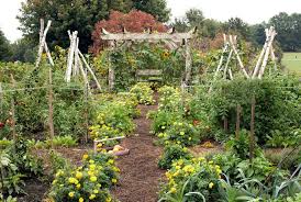 small vegetable garden design ideas