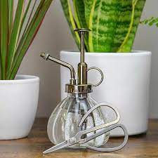 House Plant Mister Glass With Pump