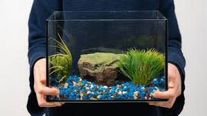 diy old fish tank ideas for home decor