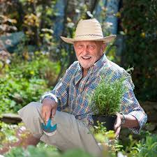 Herb Gardening Guru How To Grow Herbs