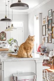 At the end of the day, if you still can't get your kitty off the counter, simply do everything you can to make it a safe environment for your cat and your family. Tips For Keeping Cats Off Kitchen Counters Apartment Therapy