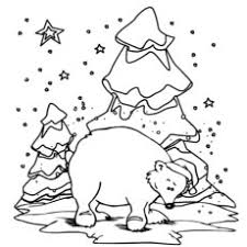 Check our 10 amazing polar bear coloring sheets here Top 10 Free Printable Polar Bear Coloring Pages Online