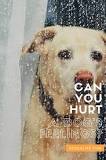 can-you-hurt-your-dogs-feelings