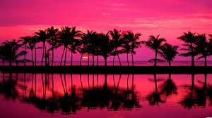 Beautiful Pink Beach Sunset