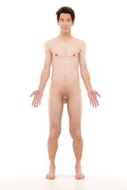 Normal guys nude