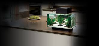 Fluval Edge Aquarium Kit Series With Newly Integrated 6500 K Led