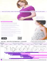 17 Printable Baby Development Chart Forms And Templates
