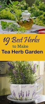 86 Medical Garden Ideas Herbalism