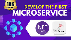 net core web api microservice with sql